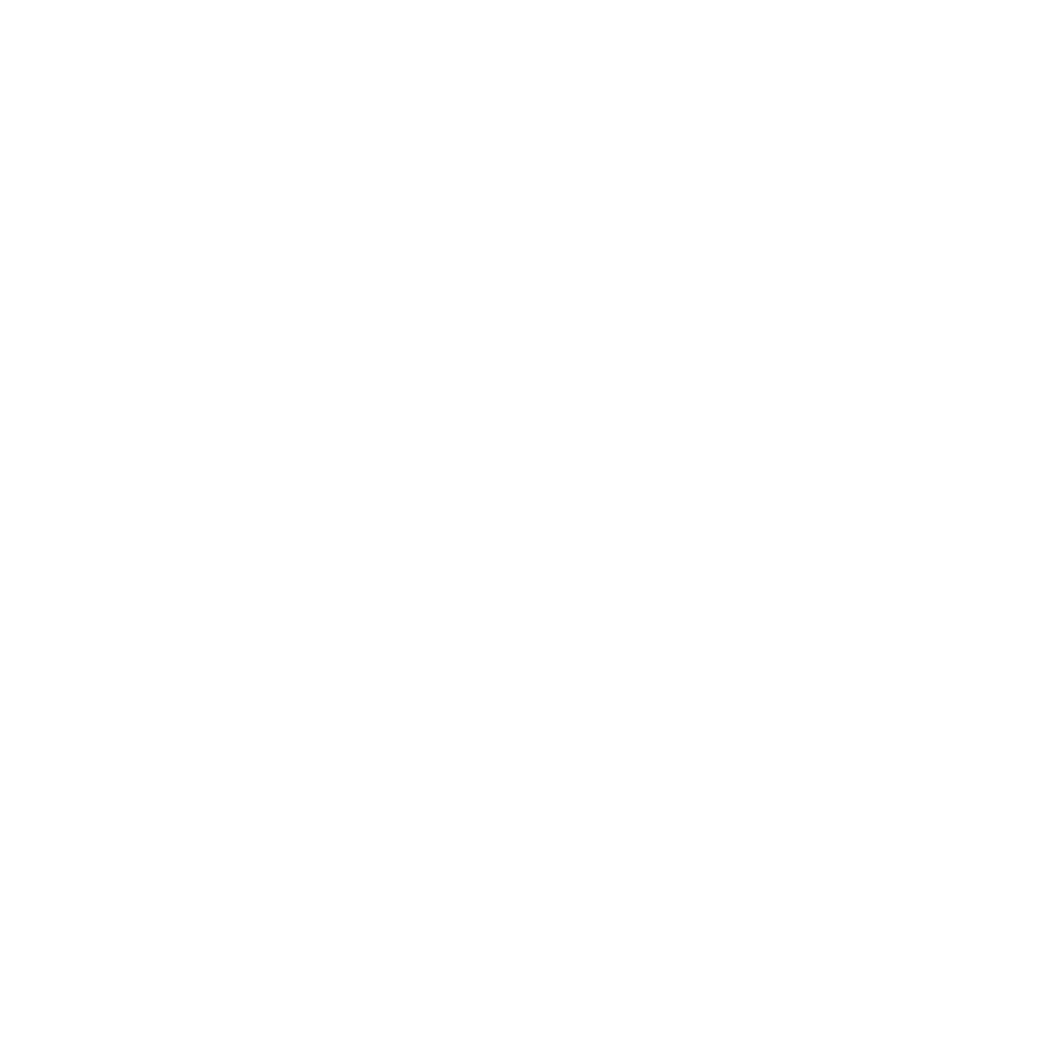 Actions Suisse